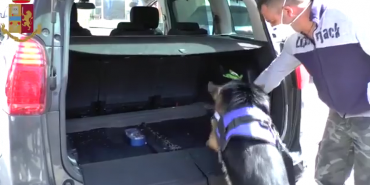 Latina, insospettabili trovati con l’auto piena di droga. Ecco il video della Polizia
