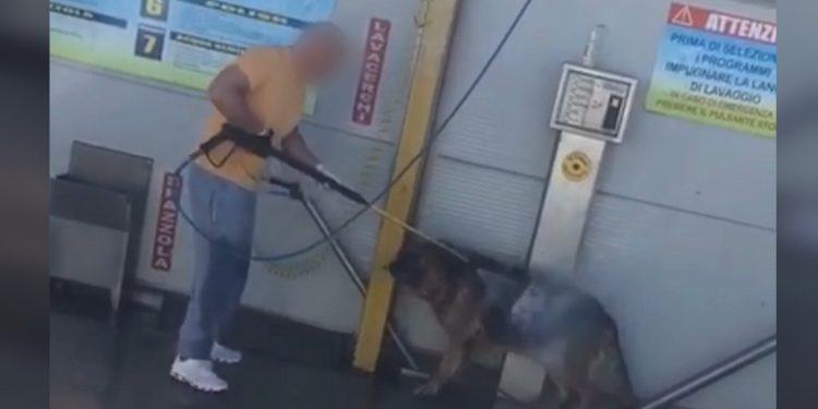 Latina, lava il cane all’autolavaggio e fa infuriare il web VIDEO