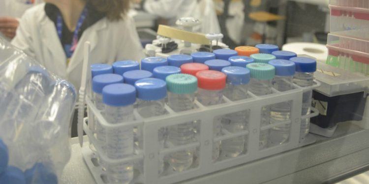 Idrossiclorochina blocca il Covid-19, il Tar del Lazio accoglie ricorso contro nota della Regione