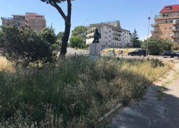Latina, Piazza Aldo Manuzio dimenticata tra rifiuti ed erbacce FOTO