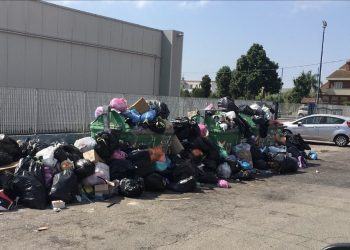 Emergenza rifiuti a Latina, Abc: “Il servizio di raccolta tornerà alla normalità dalla prossima settimana”