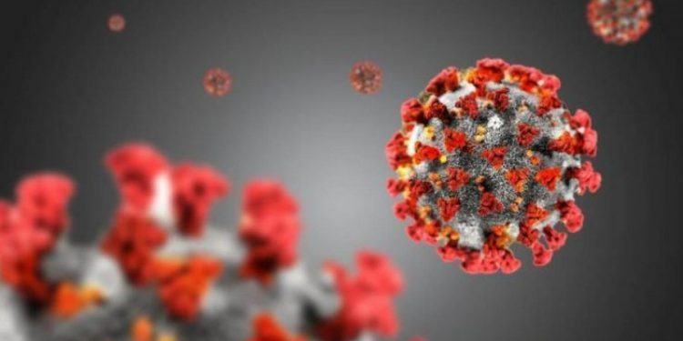 Nuovo studio sul Covid, il prof. Bassetti: “Ora è meno grave. Stop alla strategia del terrore”