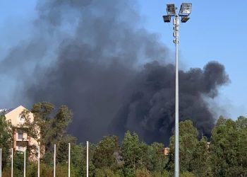 Incendio questa mattina in via Epitaffio a Latina: nel rogo muoiono gatti e cani VIDEO