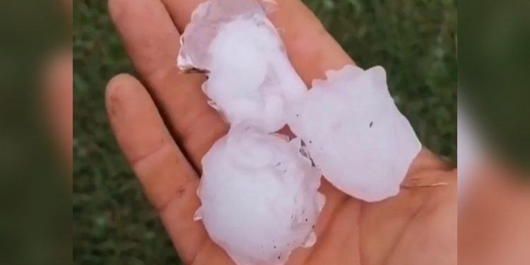 Super grandinata a Latina e provincia: chicchi come mandarini VIDEO