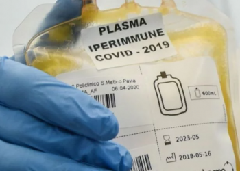 Covid a Latina, via libera al plasma iperimmune per curare i malati