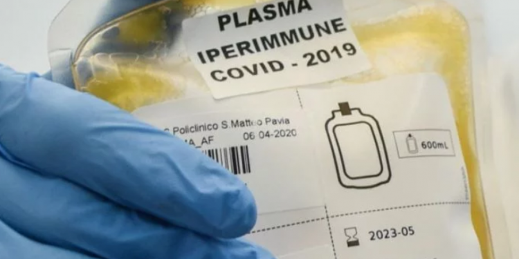Covid a Latina, via libera al plasma iperimmune per curare i malati