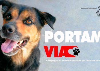 “Portami Via”, la campagna di sensibilizzazione dell’Associazione Amici del Cane di Latina