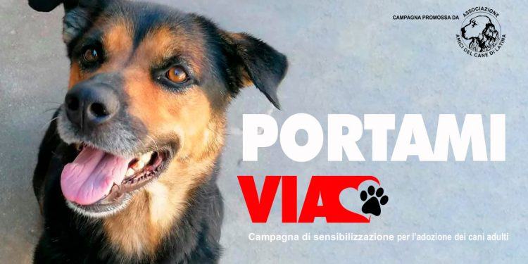 “Portami Via”, la campagna di sensibilizzazione dell’Associazione Amici del Cane di Latina