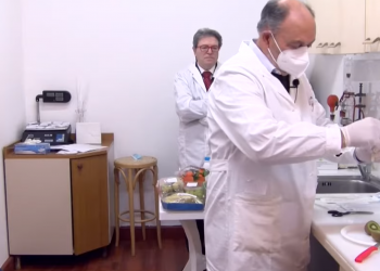 Anche il kiwi prende il Covid, l’esperimento sull’attendibilità dei tamponi VIDEO