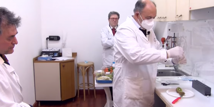 Anche il kiwi prende il Covid, l’esperimento sull’attendibilità dei tamponi VIDEO