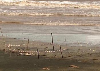 Latina, scheletro umano trovato sulla spiaggia di Foce Verde