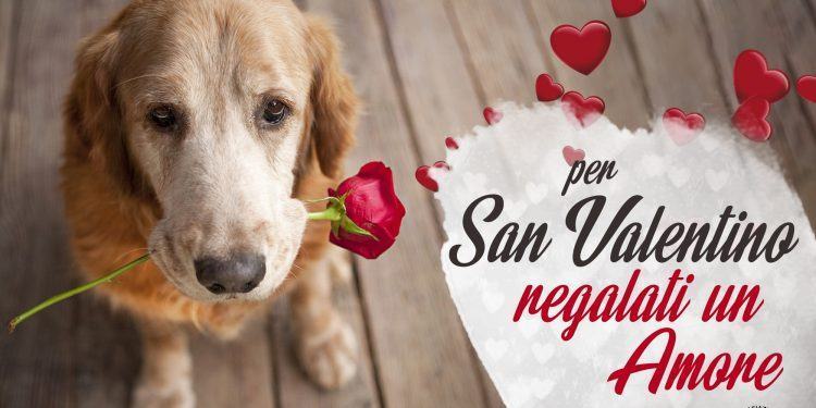 “Per San Valentino regalati un Amore”, la campagna dell’Associazione Amici del Cane di Latina