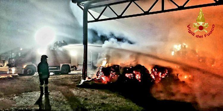 Rogo devasta azienda agricola a Sabaudia, l’intervento dei Vigili del fuoco