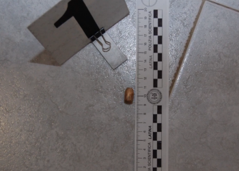 Guerra criminale a Latina, arrestati i quattro assassini di Massimiliano Moro