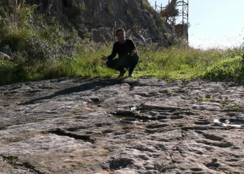 I Dinosauri di Sezze