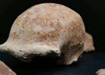 Eccezionale scoperta al Circeo: trovati resti di 9 uomini di Neanderthal VIDEO