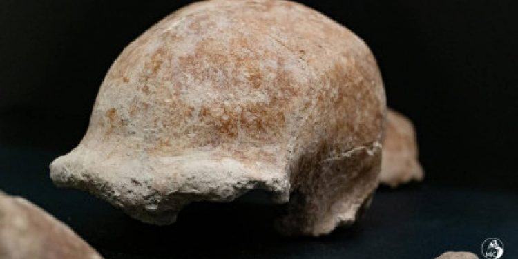 Eccezionale scoperta al Circeo: trovati resti di 9 uomini di Neanderthal VIDEO