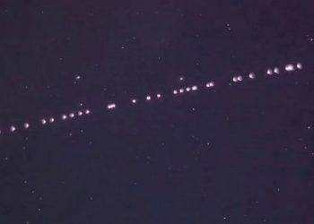 Elon Musk attira (di nuovo) i pontini con il naso all’insù