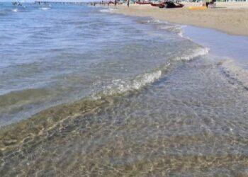 Macabra scoperta al lido di Latina: bagnante trova un fegato umano che galleggia, poi spunta un rene