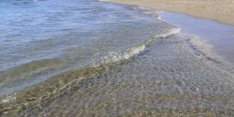 Macabra scoperta al lido di Latina: bagnante trova un fegato umano che galleggia, poi spunta un rene