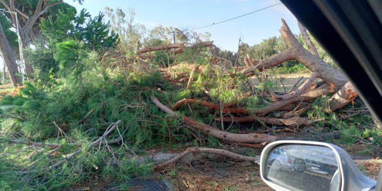 Latina, Sabaudia e Terracina devastate dalla tromba d’aria: centinaia gli interventi dei vigili del fuoco VIDEO