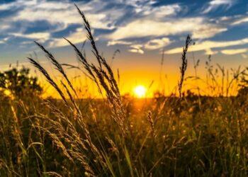 Troppa luce in estate: il sonno ne fa le spese