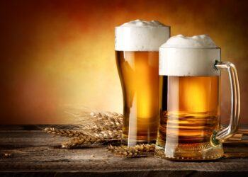 Birra, una storia millenaria