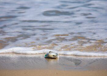 Non solo Barcellona: le spiagge italiane plastic e smoke free￼