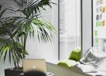 Green office: la tendenza sostenibile per il 2023