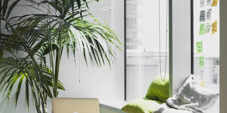 Green office: la tendenza sostenibile per il 2023