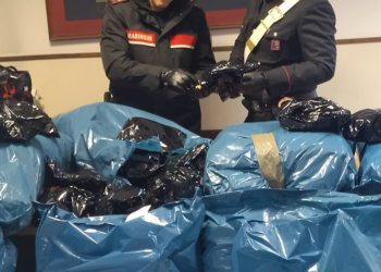 Terracina: in taxi con 53 chili di droga, alla vista dei carabinieri si lancia dall’auto in corsa