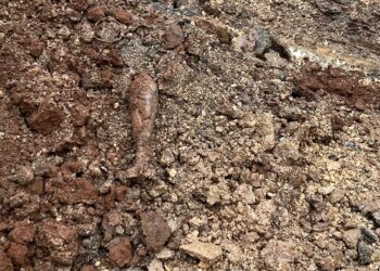 Cisterna, durante i lavori al cimitero riaffiora una bomba della II Guerra mondiale