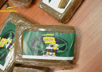 Terracina, sequestrato oltre un chilo di droga col marchio dei Simpson
