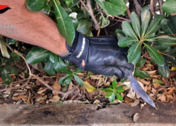 Latina, controlli nei luoghi della movida: trovato un coltello in piazza San Marco