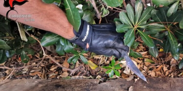 Latina, controlli nei luoghi della movida: trovato un coltello in piazza San Marco