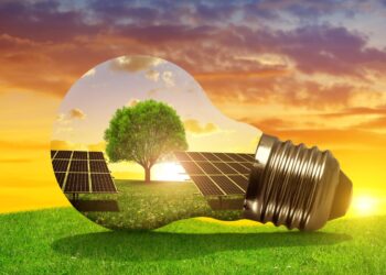 Reddito energetico 2024: come funziona il nuovo bonus per gli impianti fotovoltaici