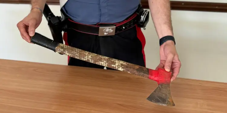 Terracina: infastidito dal rumore della cella frigo, minaccia un uomo con un’ascia
