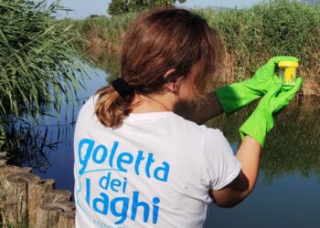 Sotto osservazione i laghi pontini di Fogliano, Sabaudia e Fondi: un solo punto è risultato inquinato