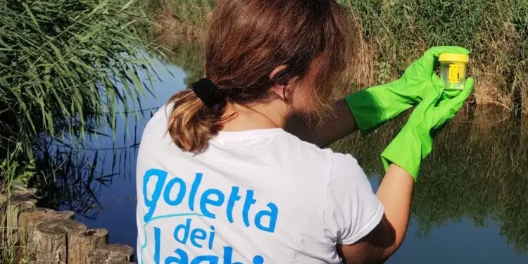 Sotto osservazione i laghi pontini di Fogliano, Sabaudia e Fondi: un solo punto è risultato inquinato