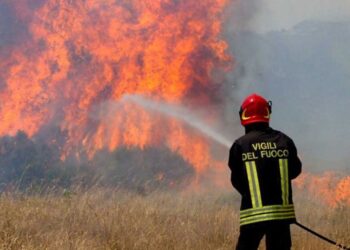 Appicca un incendio che distrugge 5 ettari di bosco in provincia di Latina: individuato il piromane