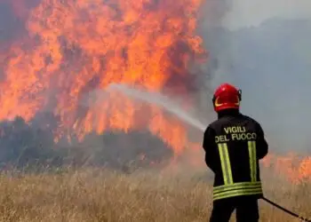 Appicca un incendio che distrugge 5 ettari di bosco in provincia di Latina: individuato il piromane