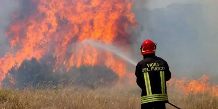 Appicca un incendio che distrugge 5 ettari di bosco in provincia di Latina: individuato il piromane