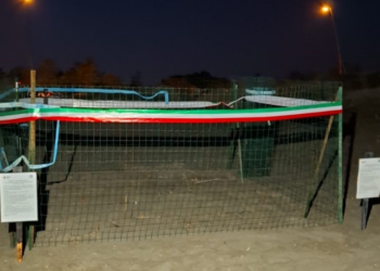 Lido di Latina, anche quest’anno c’è un nido di tartaruga Caretta caretta a Capoportiere