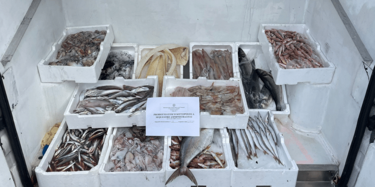 Sabaudia: sequestrati 128 chili di pesce senza certificazione di provenienza