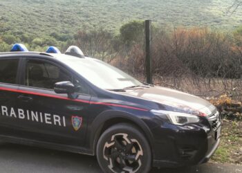 Brucia 8mila metri quadri di bosco a Sabaudia: individuato il piromane