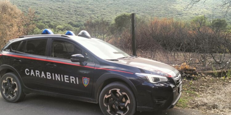 Brucia 8mila metri quadri di bosco a Sabaudia: individuato il piromane