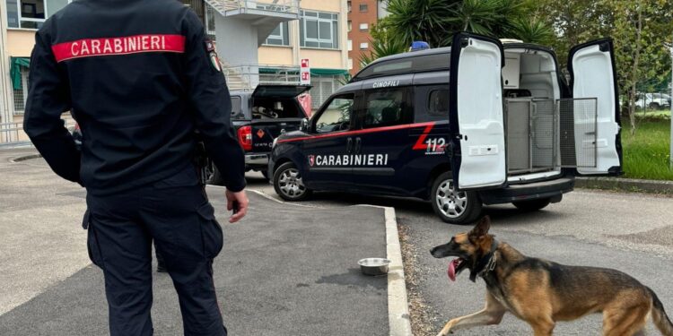 Falso allarme bomba all’Istituto Galilei-Sani di Latina: Carabinieri a caccia dell’autore della chiamata