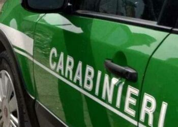 Scarico non depurato a Latina, intervengono i Carabinieri Forestali: rischio di inquinamento fino al mare