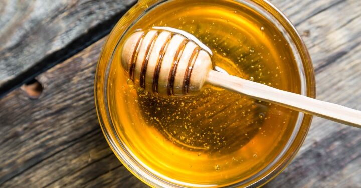 Sequestro di oltre 5 tonnellate di miele in provincia di Latina: azienda apistica sospesa per irregolarità igienico-sanitarie