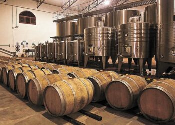 “Pagate o avveleno tutto”: minacce all’azienda vinicola pontina, hacker a processo